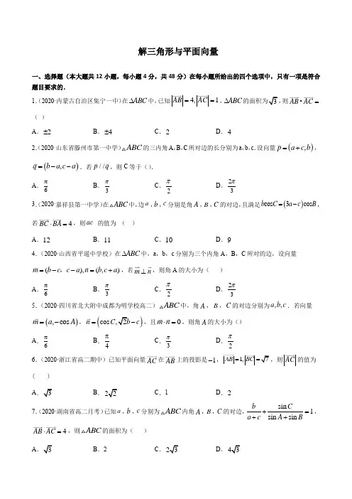 解三角形与平面向量问题(含解析)