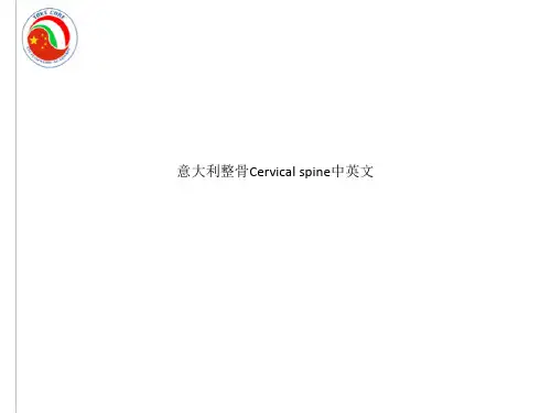 意大利整骨Cervical spine中英文