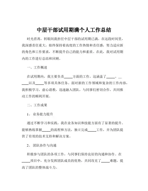 中层干部试用期满个人工作总结