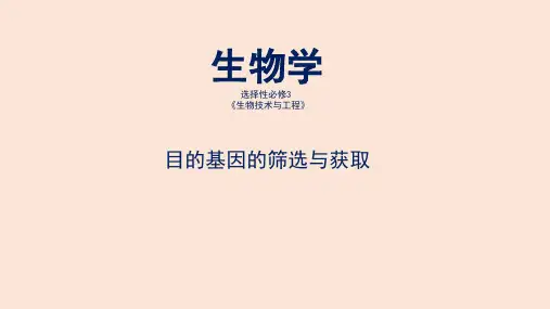 课件 3.2.1目的基因的筛选与获取-高中生物学选择性必修3(新教材同步课件)