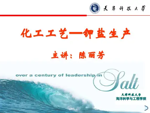 钾盐生产—兑卤法