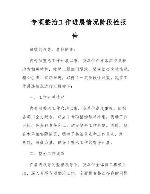 专项整治工作进展情况阶段性报告