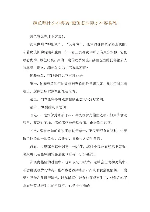 燕鱼喂什么不得病-燕鱼怎么养才不容易死