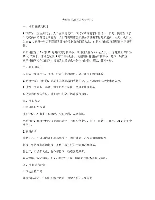 大型商超项目开发计划书