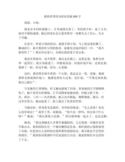 我的世界因你而美丽作文800字