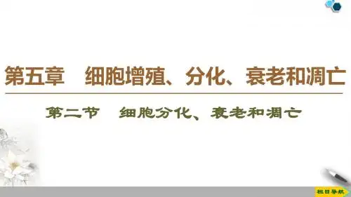 2019-2020学年苏教版生物必修1__ 第5章 细胞增殖_分化_衰老  第2节 细胞分化、衰老和凋亡