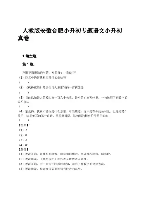人教版安徽合肥小升初专题语文小升初真卷试卷及解析