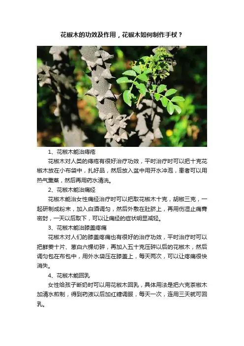 花椒木的功效及作用，花椒木如何制作手杖？