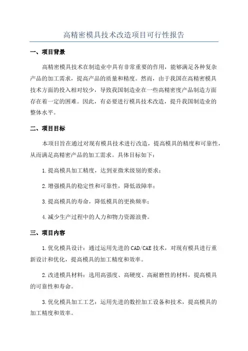 高精密模具技术改造项目可行性报告