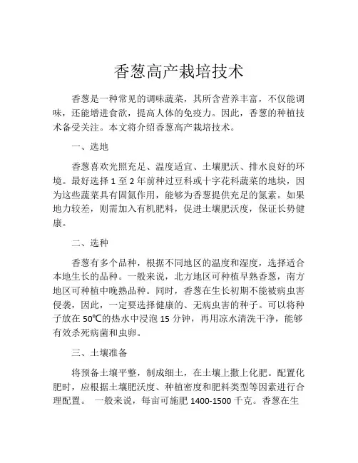 香葱高产栽培技术