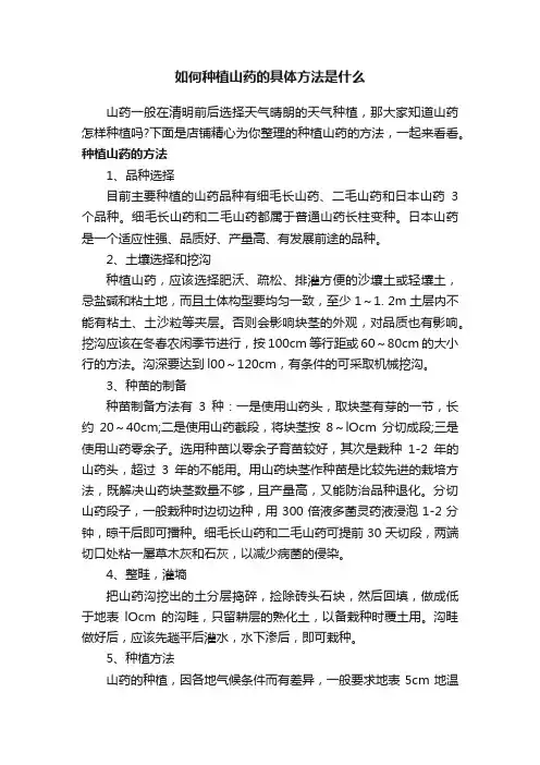 如何种植山药的具体方法是什么