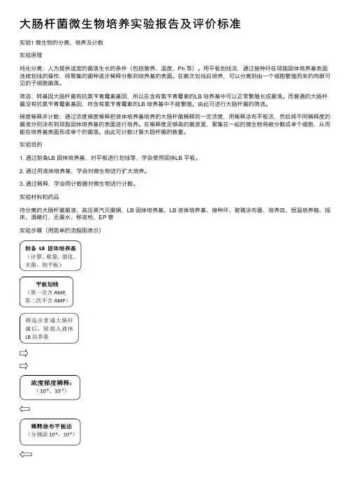 大肠杆菌微生物培养实验报告及评价标准