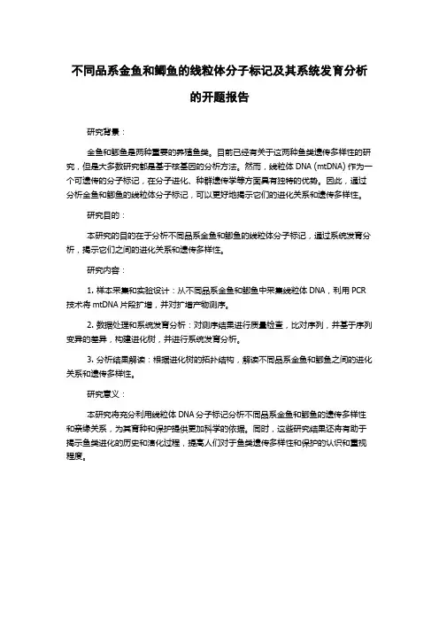 不同品系金鱼和鲫鱼的线粒体分子标记及其系统发育分析的开题报告
