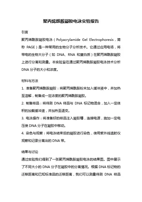 聚丙烯酰胺凝胶电泳实验报告