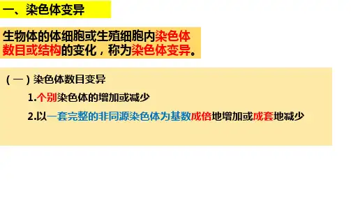 一轮复习：染色体变异与育种