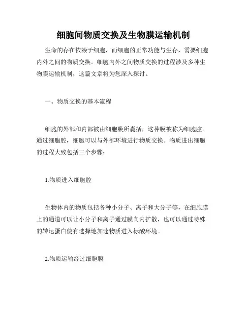 细胞间物质交换及生物膜运输机制