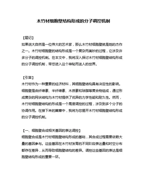 木竹材细胞壁结构形成的分子调控机制