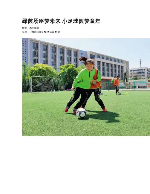 绿茵场逐梦未来 小足球圆梦童年