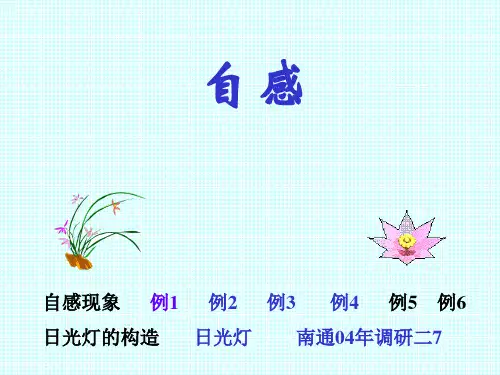 自感精品PPT教学课件