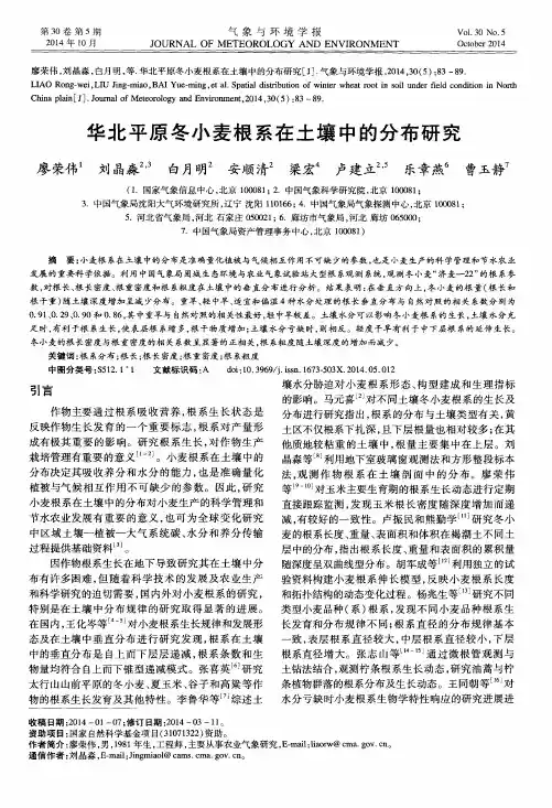 华北平原冬小麦根系在土壤中的分布研究