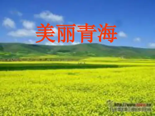 青海历史