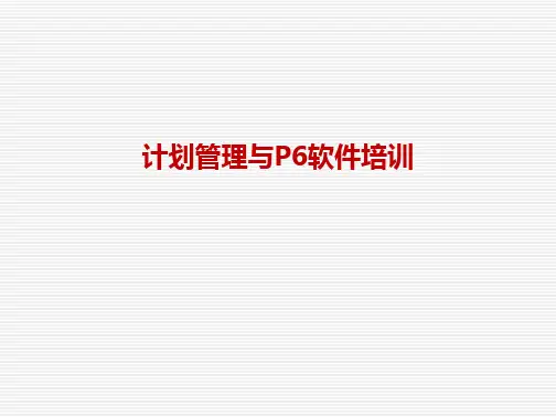最简单易懂的Primavera-P6软件培训PPTppt课件