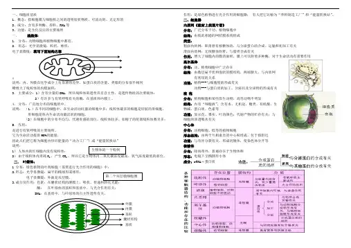 高三一轮细胞器复习及练习(适合基础较差的学生使用)