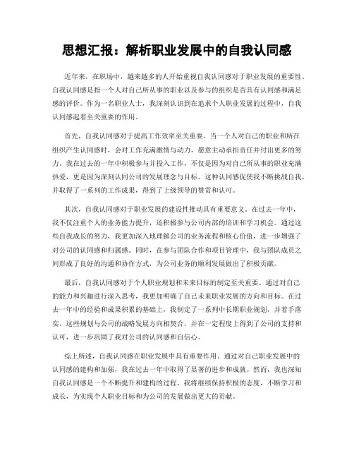 思想汇报：解析职业发展中的自我认同感