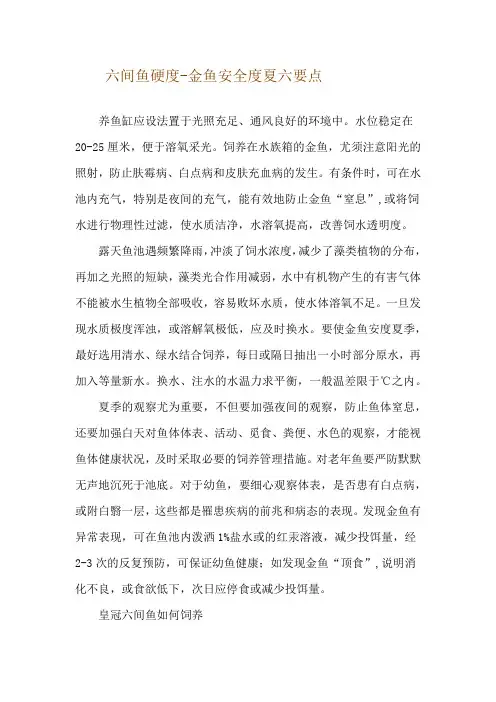 六间鱼硬度-金鱼安全度夏六要点