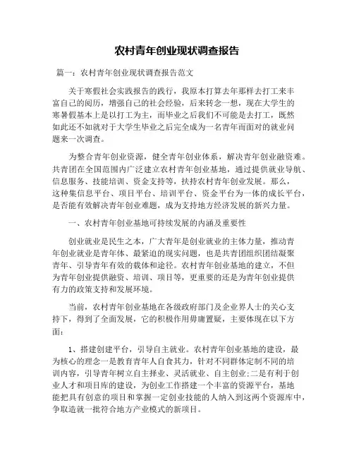 农村青年创业现状调查报告