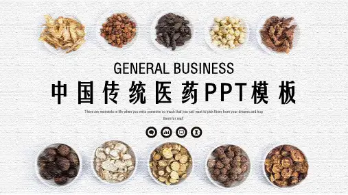中国传统医药PPT模板