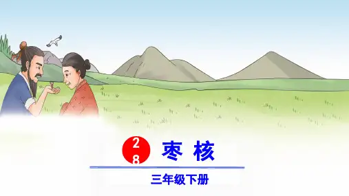 部编版三年级语文下册第28课《枣核》优质课件(最新)