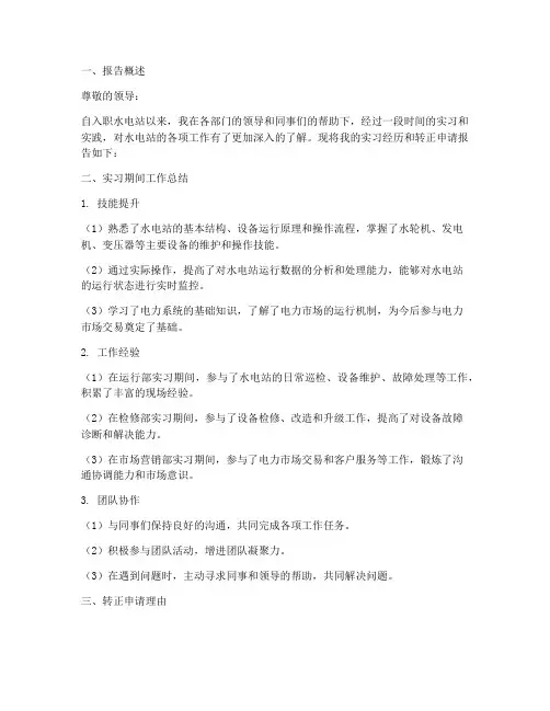 水电站_转正报告
