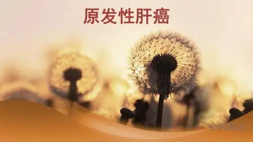 肝癌护理查房_幻灯片