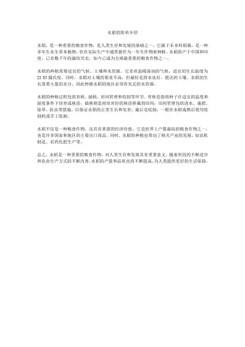 水稻的简单介绍