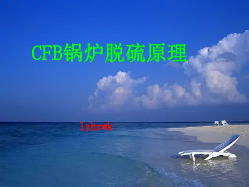 CFB锅炉脱硫原理