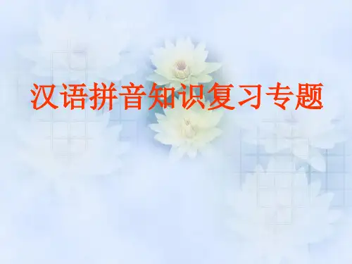 六年级《汉语拼音知识复习专题》