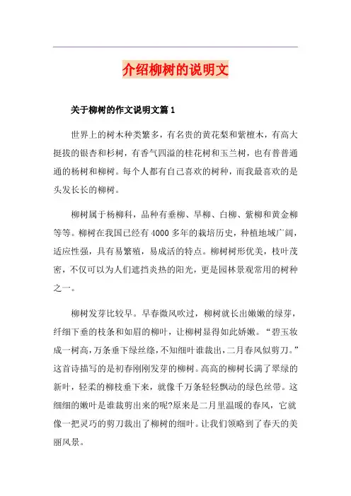 介绍柳树的说明文