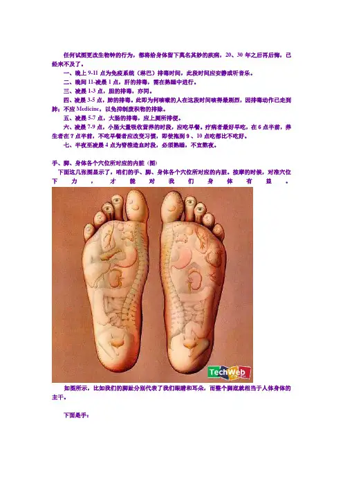 生物钟与疾病