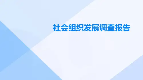 社会组织发展调查报告