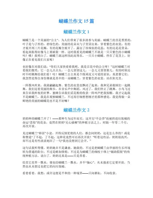 蝴蝶兰作文15篇