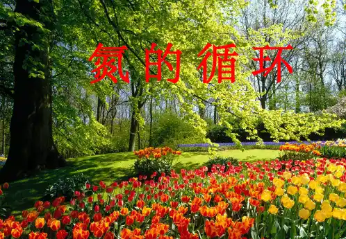 自然界的氮循环