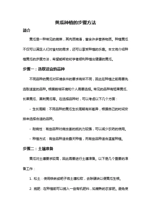 黄瓜种植的步骤方法