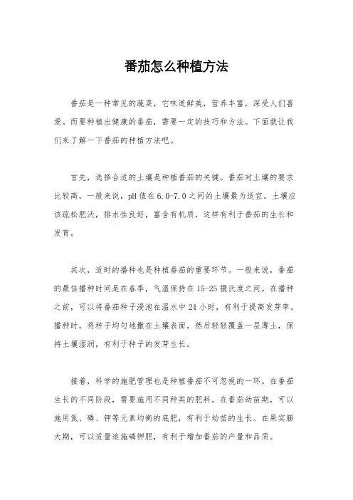 番茄怎么种植方法