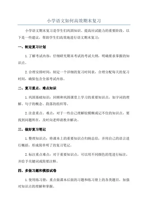 小学语文如何高效期末复习
