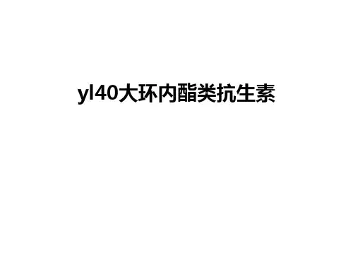 最新yl40大环内酯类抗生素
