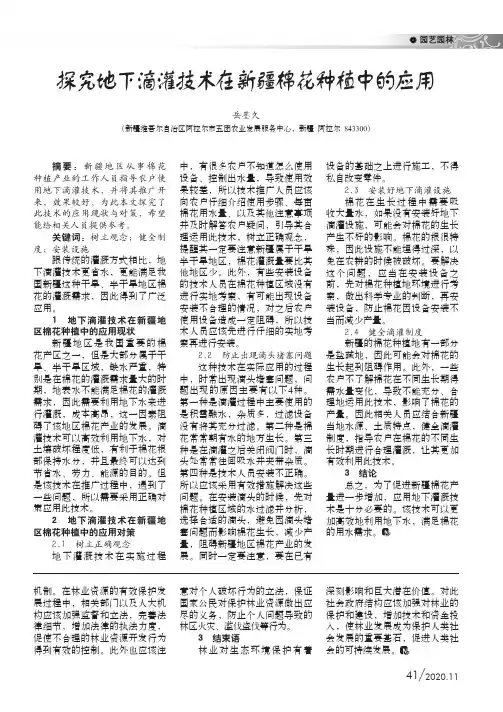 探究地下滴灌技术在新疆棉花种植中的应用