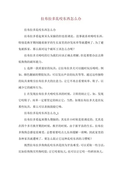 拉布拉多乱咬东西怎么办