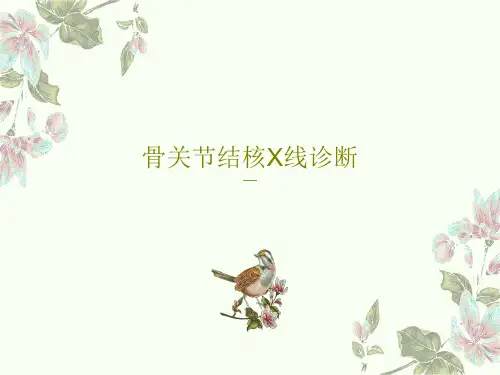 骨关节结核X线诊断19页PPT
