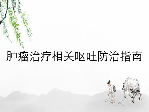 肿瘤治疗相关呕吐防治指南